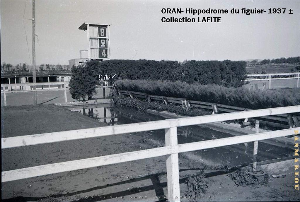 ORAN 1937 HYPPODROME DU FIGIER    (13).jpg
